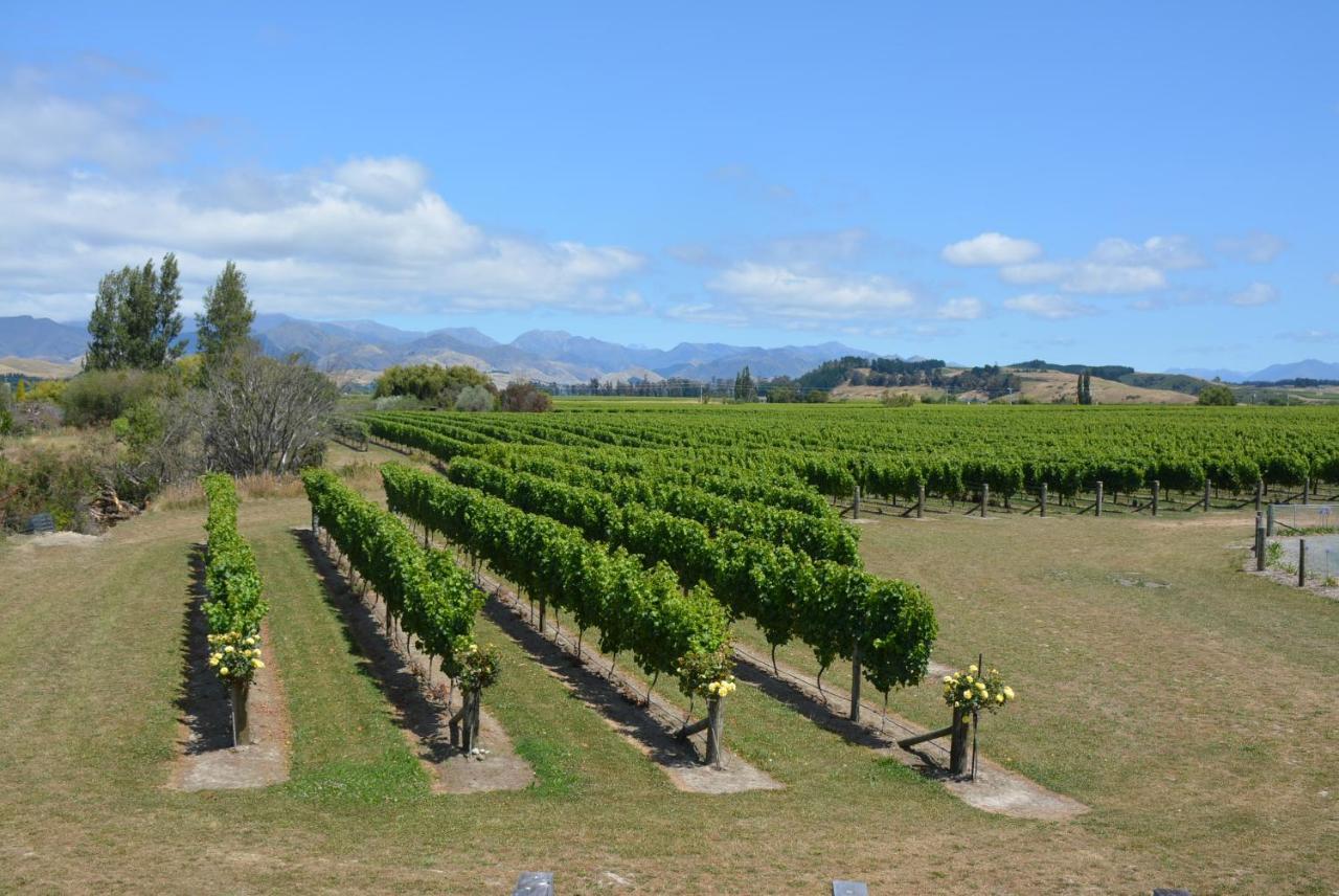 Ddog Vineyard & Bnb Renwick Extérieur photo
