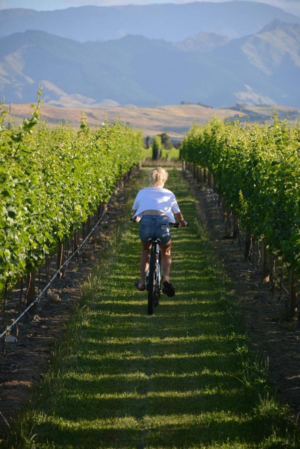 Ddog Vineyard & Bnb Renwick Extérieur photo