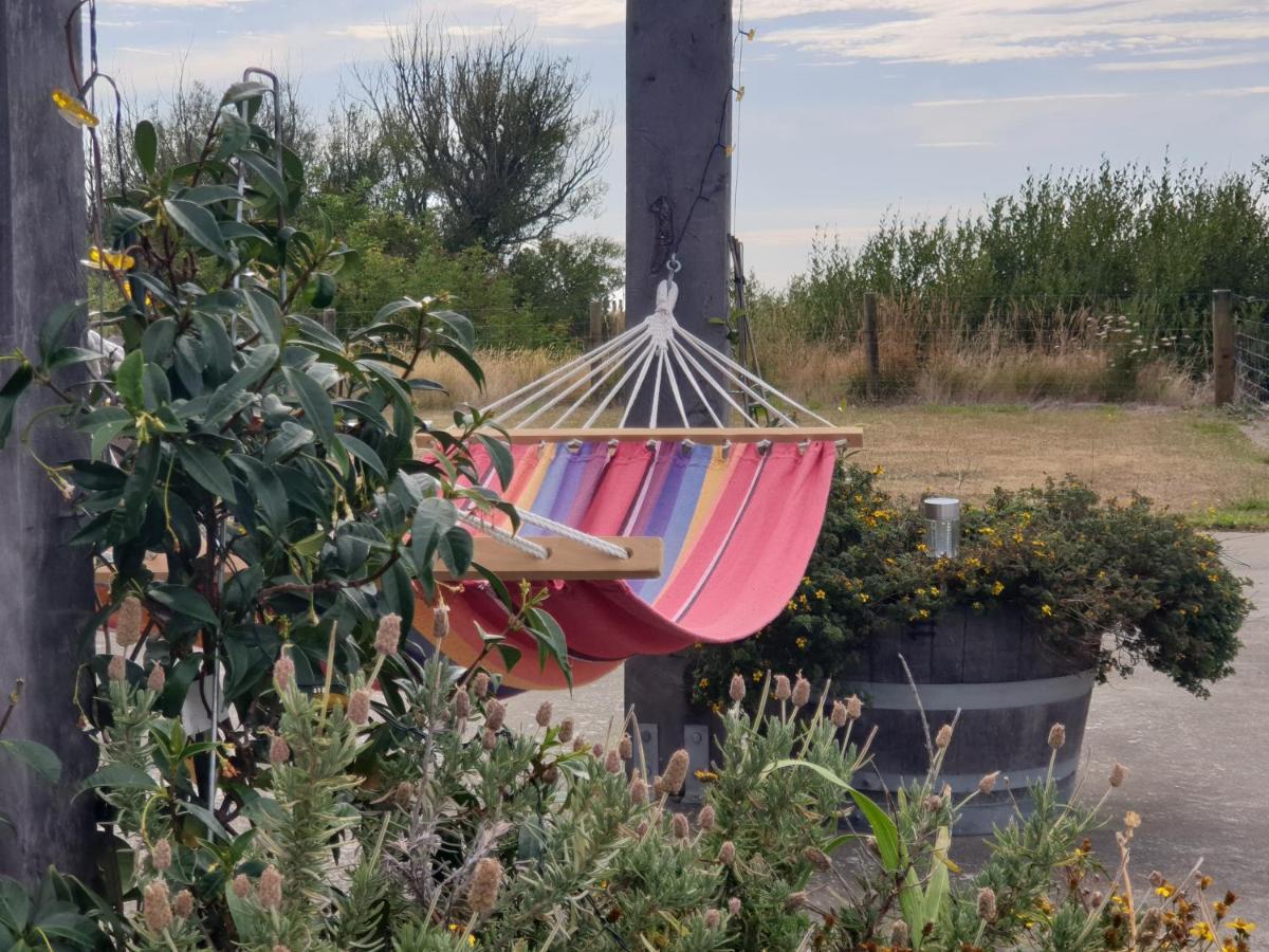 Ddog Vineyard & Bnb Renwick Extérieur photo