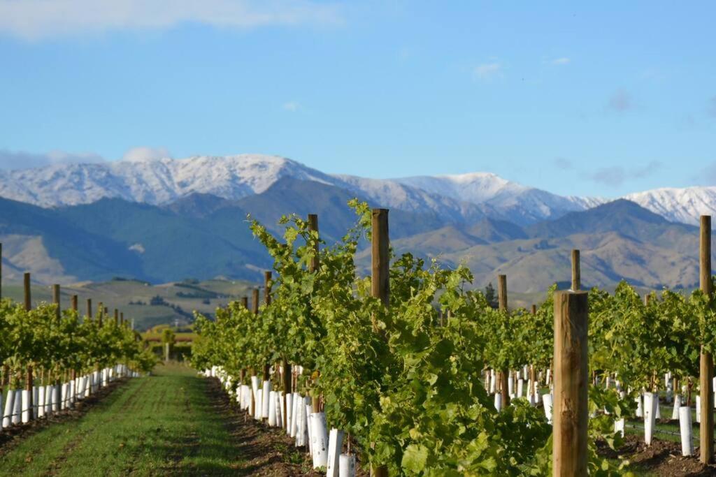Ddog Vineyard & Bnb Renwick Extérieur photo