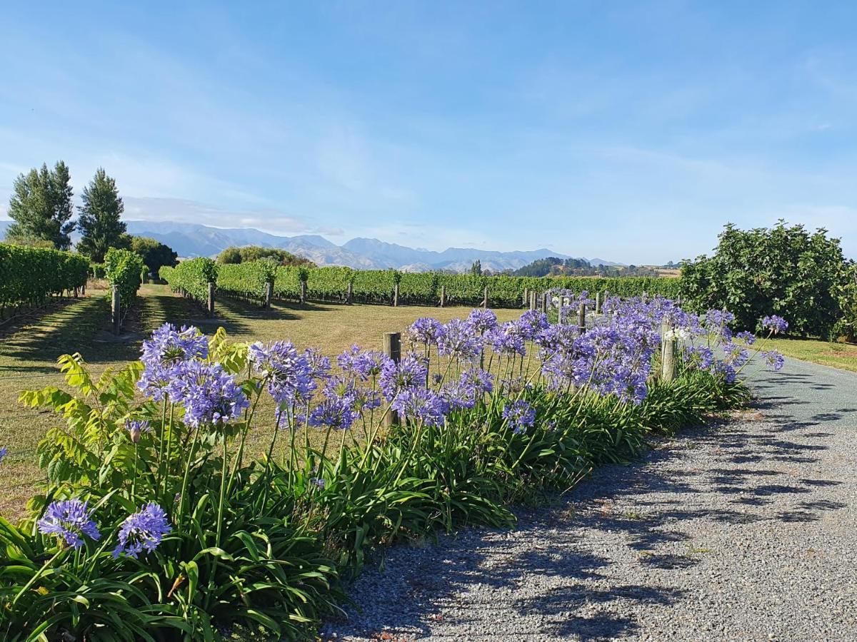 Ddog Vineyard & Bnb Renwick Extérieur photo