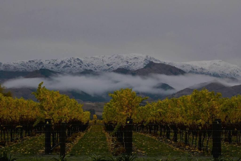 Ddog Vineyard & Bnb Renwick Extérieur photo