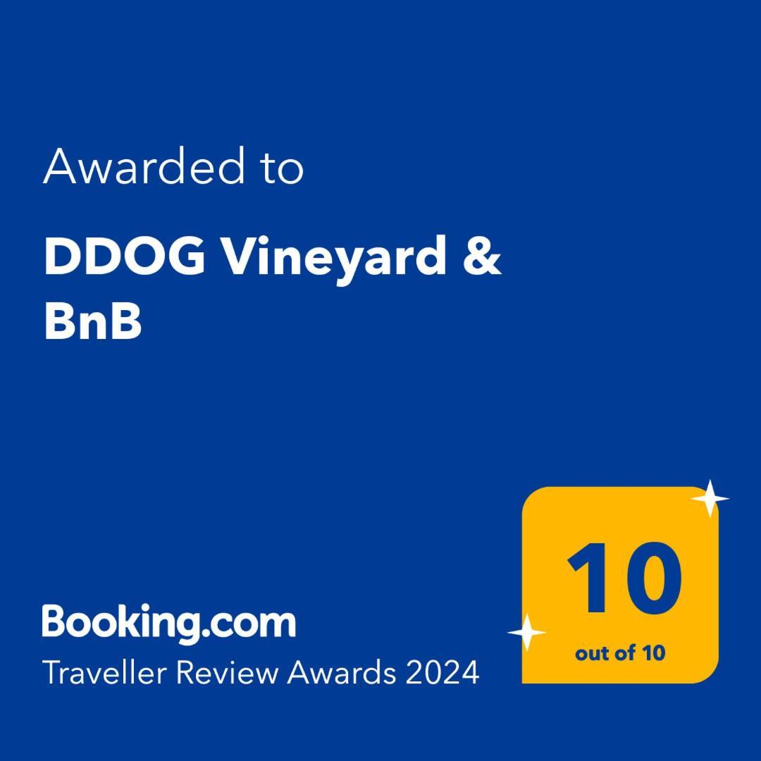 Ddog Vineyard & Bnb Renwick Extérieur photo